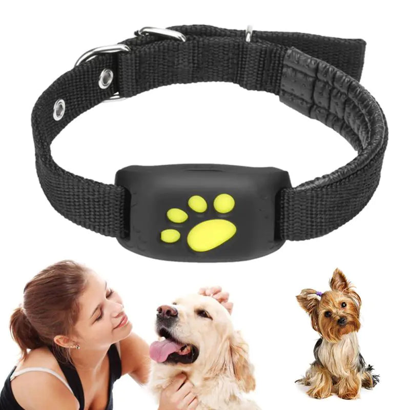 Collar Localizador GPS para Mascotas (Perros y Gatos)